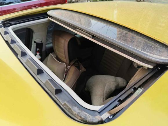 [常州·苏D] 二手福特福克斯2012款 两厢 1.6L 自动风尚型