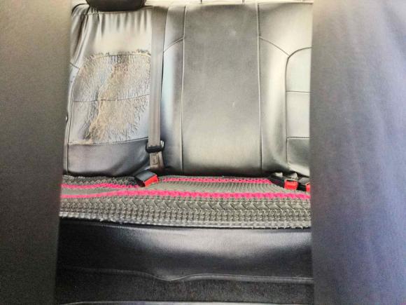 [上海·沪C] 二手大众桑塔纳2021款 1.5L 自动风尚版