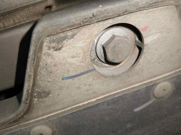 [常州·苏D] 二手比亚迪海豚2021款 401km 骑士版