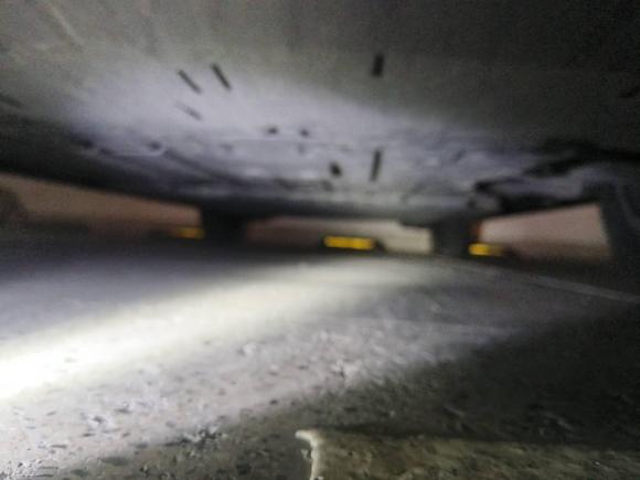 [上海·沪A] 二手比亚迪海豚2021款 405km 自由版