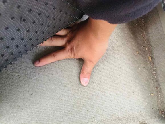 [嘉兴·浙F] 二手丰田卡罗拉2008款 1.8L 自动GL-i天窗特别版