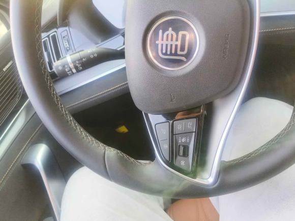 [湖州·浙E] 二手比亚迪唐新能源2023款 DM-i 冠军版 112KM 尊荣型