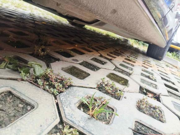 [成都·川F] 二手大众凌渡2019款 280TSI DSG舒适版 国VI