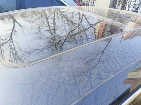 [济南·鲁A] 二手大众迈腾2023款 200万辆纪念版 280TSI DSG领先型