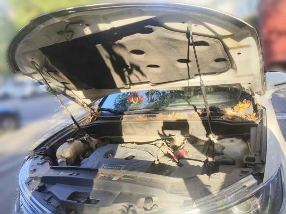 [宁波·赣A] 二手林肯林肯MKX2015款 2.0T 两驱尊享版