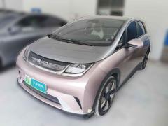 [常州·苏D]比亚迪&nbsp;&nbsp;海豚&nbsp;&nbsp;2021款 401km 骑士版