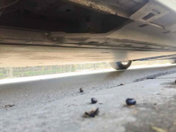 [上海·沪A] 二手奔腾奔腾NAT2023款 PRO 悦享出行版 419km