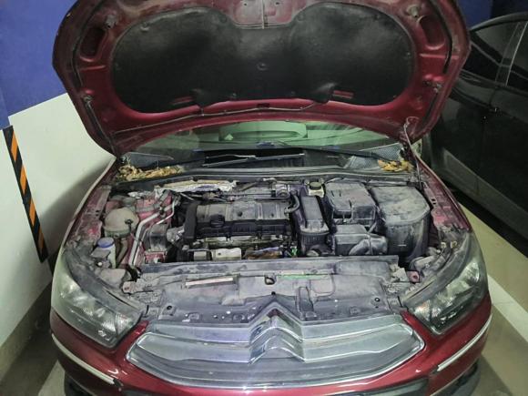 [上海·苏K] 二手雪铁龙世嘉2013款 CROSS 1.6L 自动