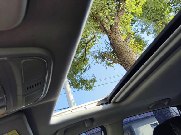 [上海·豫C] 二手哈弗哈弗H62017款 蓝标 运动版 1.5T 手动两驱精英型