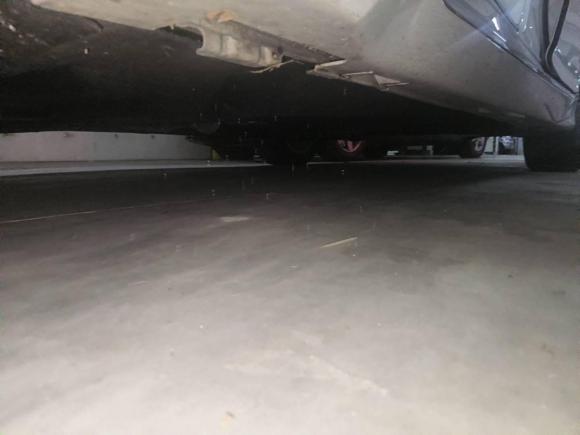 [杭州·浙G] 二手本田雅阁2021款 260TURBO 豪华·星空限量版