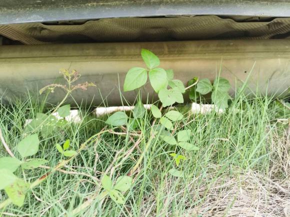 [合肥·皖A] 二手长安长安CS75 PLUS2020款 1.5T 自动豪华型