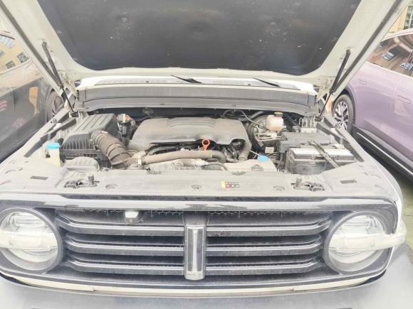 [成都·川A] 二手坦克坦克3002021款 越野版 2.0T 征服者