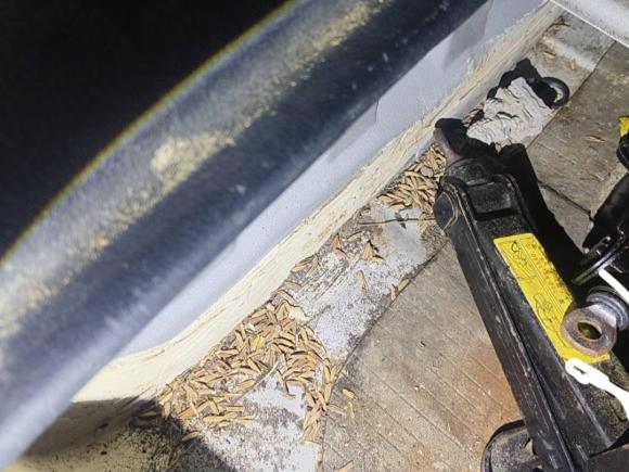 [宁波·浙B] 二手起亚起亚K22015款 三厢 1.4L MT GLS