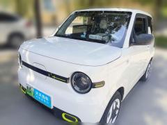 [济南·鲁A] 吉利银河熊猫2025款 熊猫mini 210km 元气熊