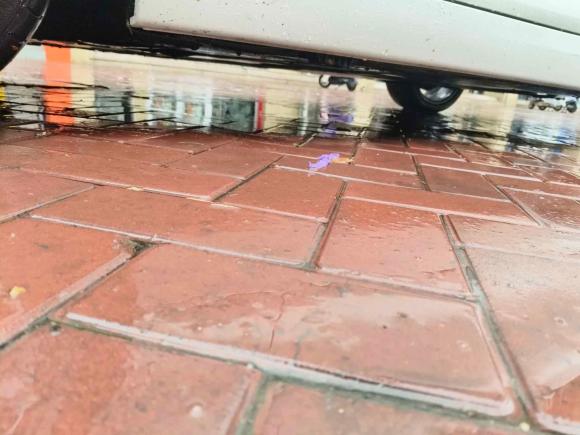 [济南·鲁N] 二手宝马宝马2系2019款 225i 敞篷轿跑车 运动设计套装