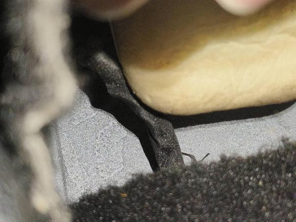 [深圳·粤B] 二手林肯飞行家2020款 3.0T V6 四驱尊雅版