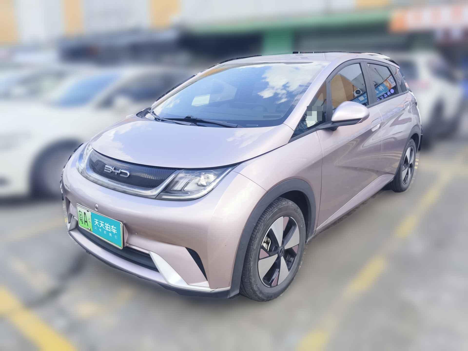 [广州·粤A] 比亚迪海豚2023款 420km 自由版