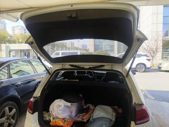 [嘉兴·浙A] 二手大众高尔夫·纯电2020款 驰