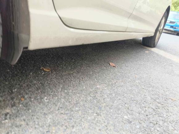 [杭州·浙A] 二手大众朗逸纯电2019款 优享版