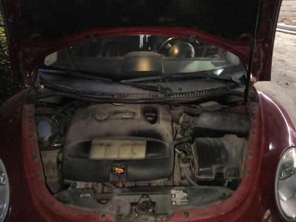 [南通·苏F] 二手大众甲壳虫2006款 2.0 敞篷豪华版