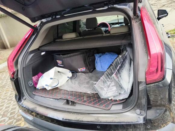 [上海·沪G] 二手凯迪拉克凯迪拉克XT42018款 28T 两驱豪华型