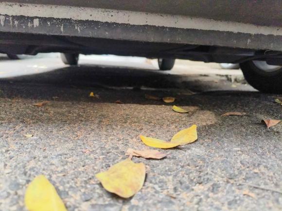 [温州·浙C] 二手大众高尔夫2014款 1.6L 自动舒适型