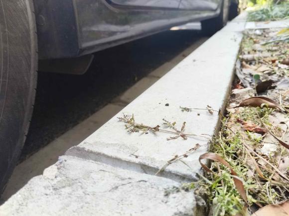 [上海·沪B] 二手日产天籁2013款 2.0L XL舒适版