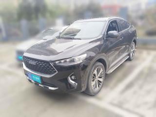 哈弗哈弗F7x2019款 1.5T 两驱极智潮玩版