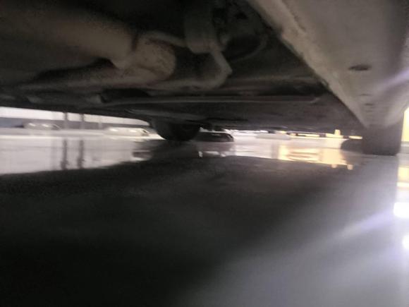 [台州·浙J] 二手福特福睿斯2015款 1.5L 自动时尚型