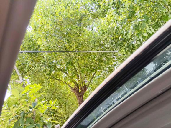 [合肥·皖A] 二手雪佛兰赛欧2018款 赛欧3 1.3L 手动舒适天窗版