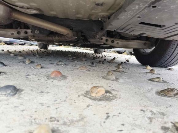 [苏州·苏E] 二手别克君越2016款 20T 精英型