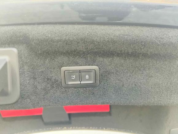 [南京·苏A] 二手红旗红旗H92020款 2.0T 智联旗畅版