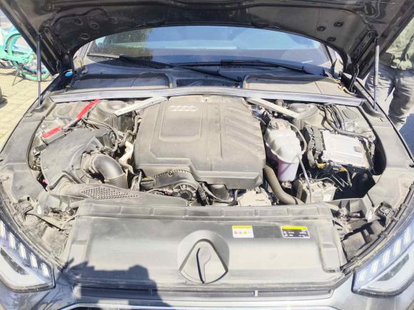 [上海·苏U] 二手奥迪奥迪A4L2024款 40 TFSI 时尚动感型