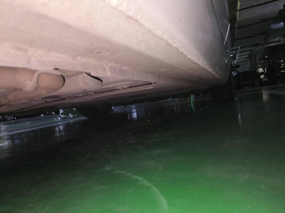 [成都·川A] 二手福特福睿斯2015款 1.5L 自动时尚型