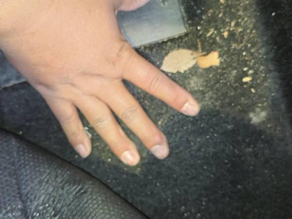 [苏州·苏U] 二手奔腾奔腾T332019款 1.6L 自动豪华型 国VI