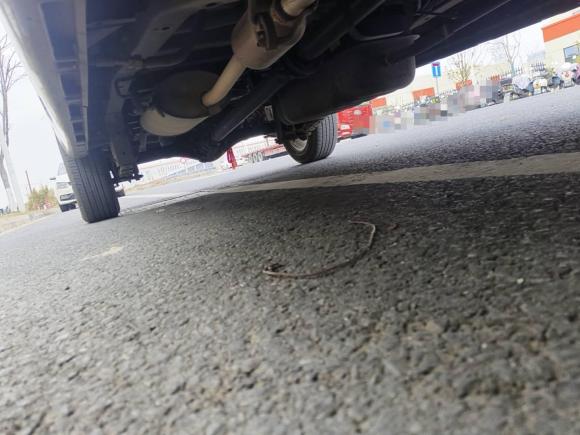 [苏州·苏E] 二手金杯金海狮经典2021款 1.5L 客车旅行狮 7座