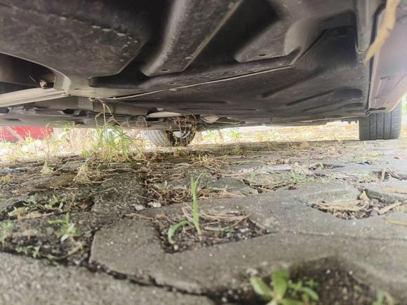 [佛山·粤E] 二手奔驰奔驰B级2015款 B 200 豪华型