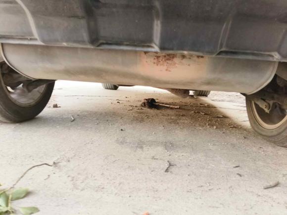 [上海·浙F] 二手路虎神行者22013款 2.0T Si4 SE汽油版