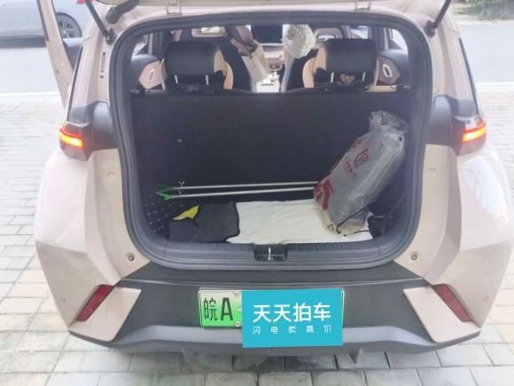 [合肥·皖A] 二手比亚迪海鸥2023款 飞翔版