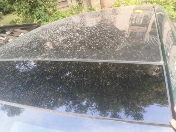 [上海·苏U] 二手名爵MG72023款 2.0T 自动猎美奢享版