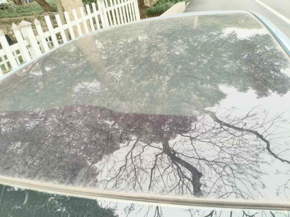 [杭州·浙A] 二手标致标致308S2015款 1.2T 自动劲驰版