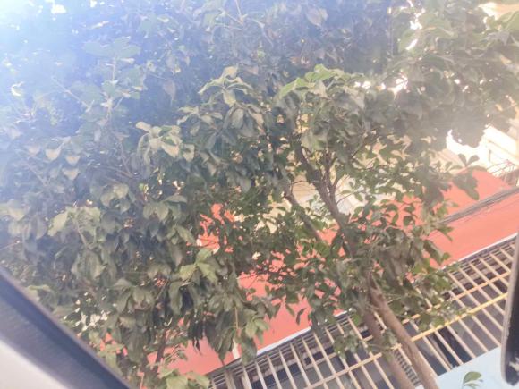 [上海·沪N] 二手雪佛兰开拓者2022款 轻混 650T 7座 威版