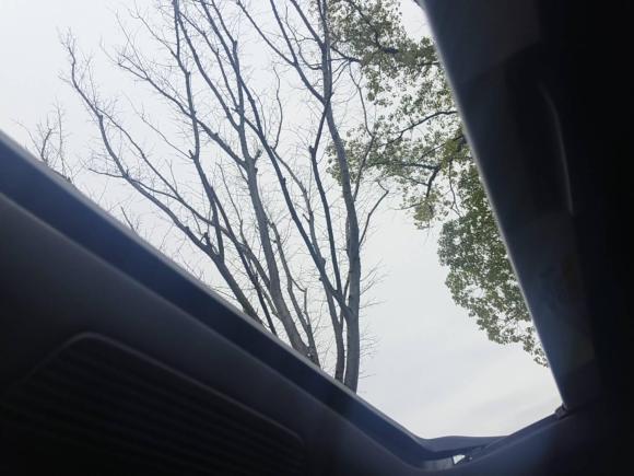 [金华·浙G] 二手大众高尔夫2023款 280TSI DSG R-Line Lite