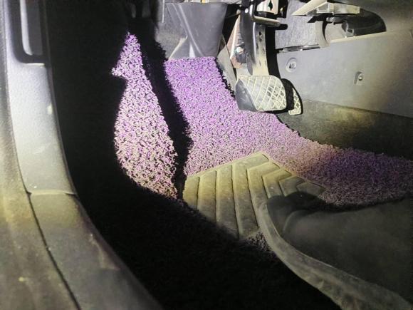 [青岛·鲁B] 二手大众朗行2013款 1.6L 自动舒适型