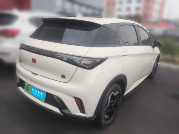 [深圳·粤B] 二手比亚迪海豚2021款 405km 自由版