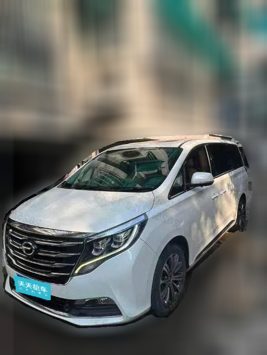 [金华·浙G] 广汽传祺传祺M82018款 320T 尊贵版