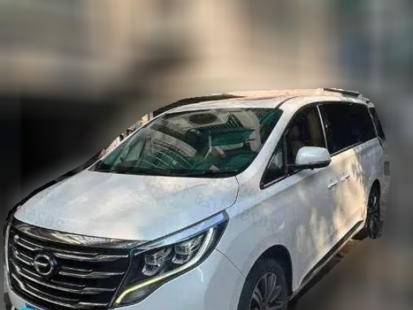 [金华·浙G] 二手广汽传祺传祺M82018款 320T 尊贵版