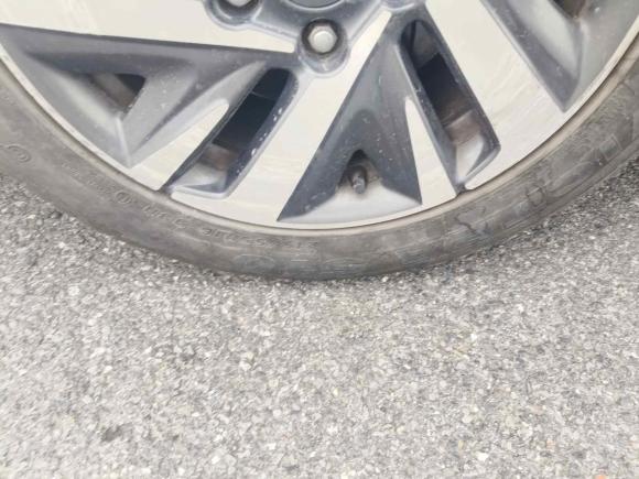 [合肥·浙B] 二手本田凌派2019款 180Turbo CVT舒适版 国V