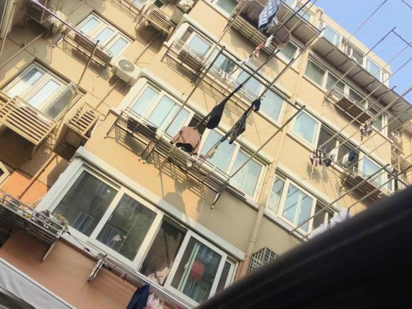 [上海·鄂F] 二手丰田卡罗拉2017款 改款双擎 1.8L E-CVT领先版