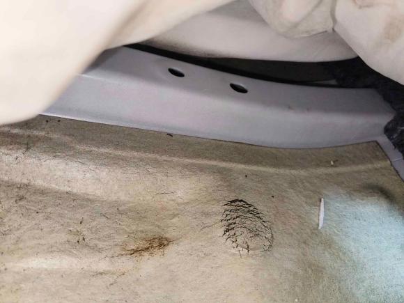 [南昌·赣A] 二手日产蓝鸟2019款 1.6L 手动炫酷版 国VI